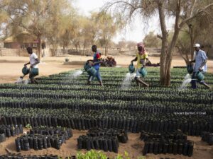 Travail emploi agricole Afrique