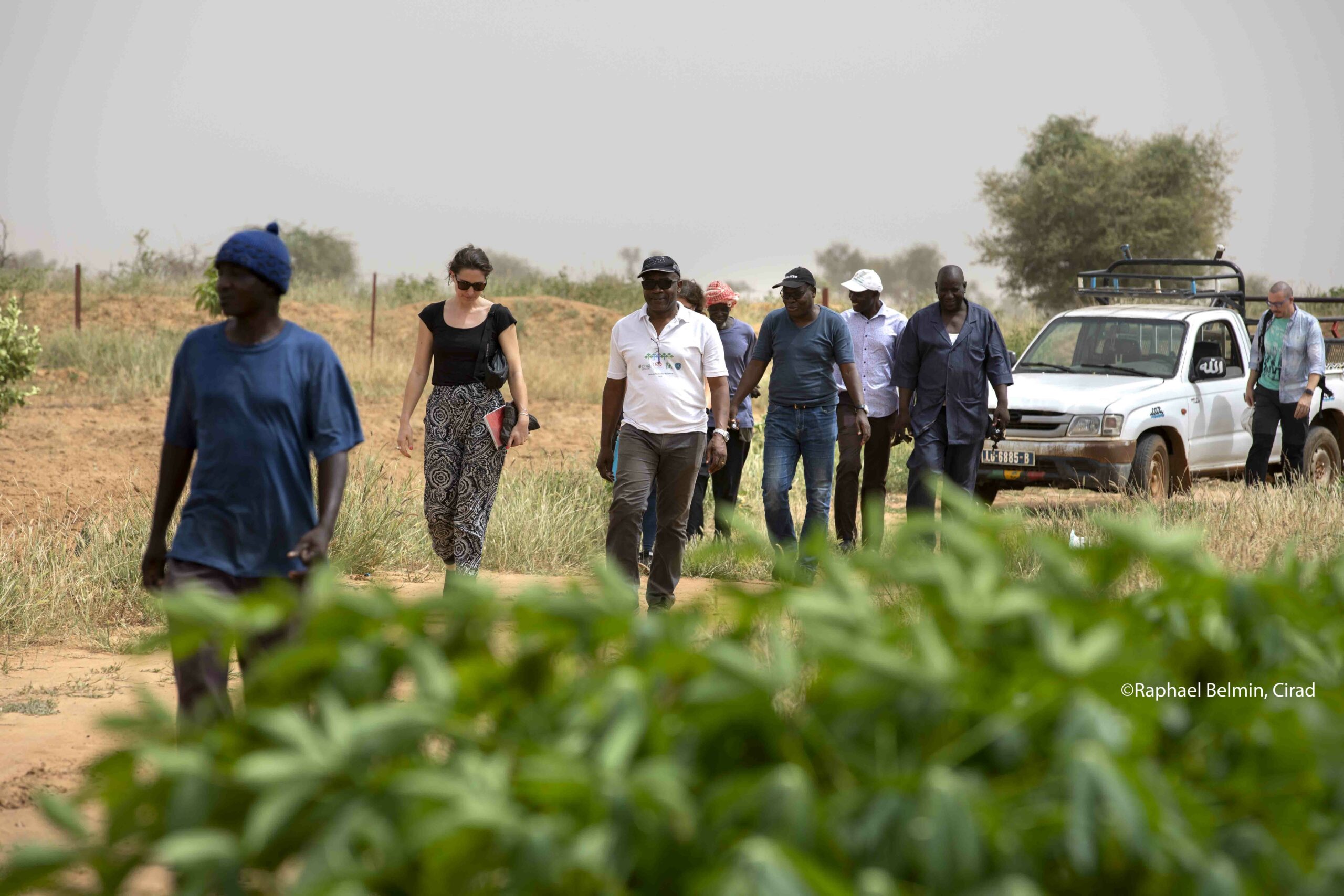 sciences transformatives et innovation des systèmes alimentaires en Afrique