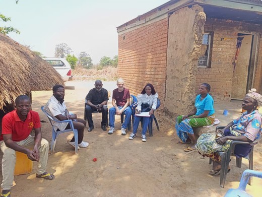 Field surveys for the StimLactationPlantes project in the DRC