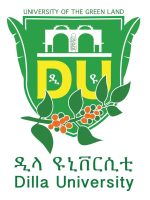 Dilla_University